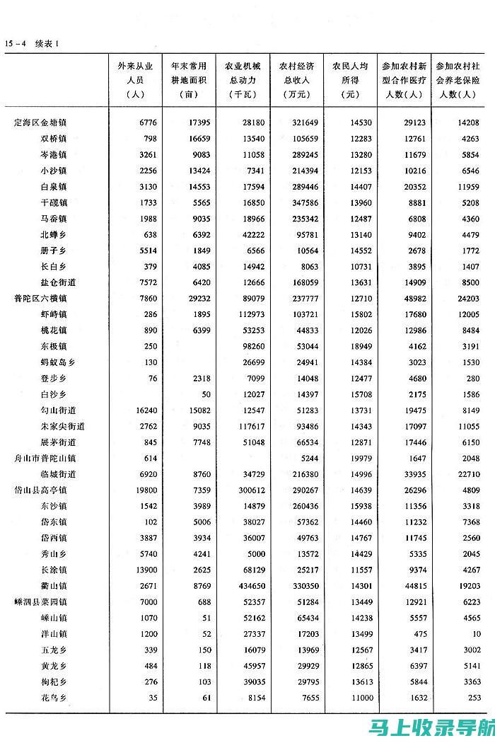 乡镇统计站长的工作负担：一份劳累，伴随成长与收获